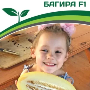 Семена дыни БАГИРА F1 агрофирма Партнер
