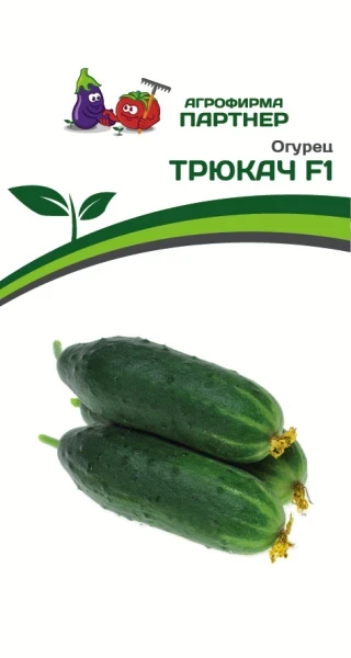 6l0ckgvv81i8tuxd7z15vrqgb3egrvmi