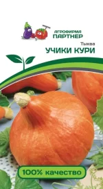 Семена тыквы УЧИКИ КУРИ